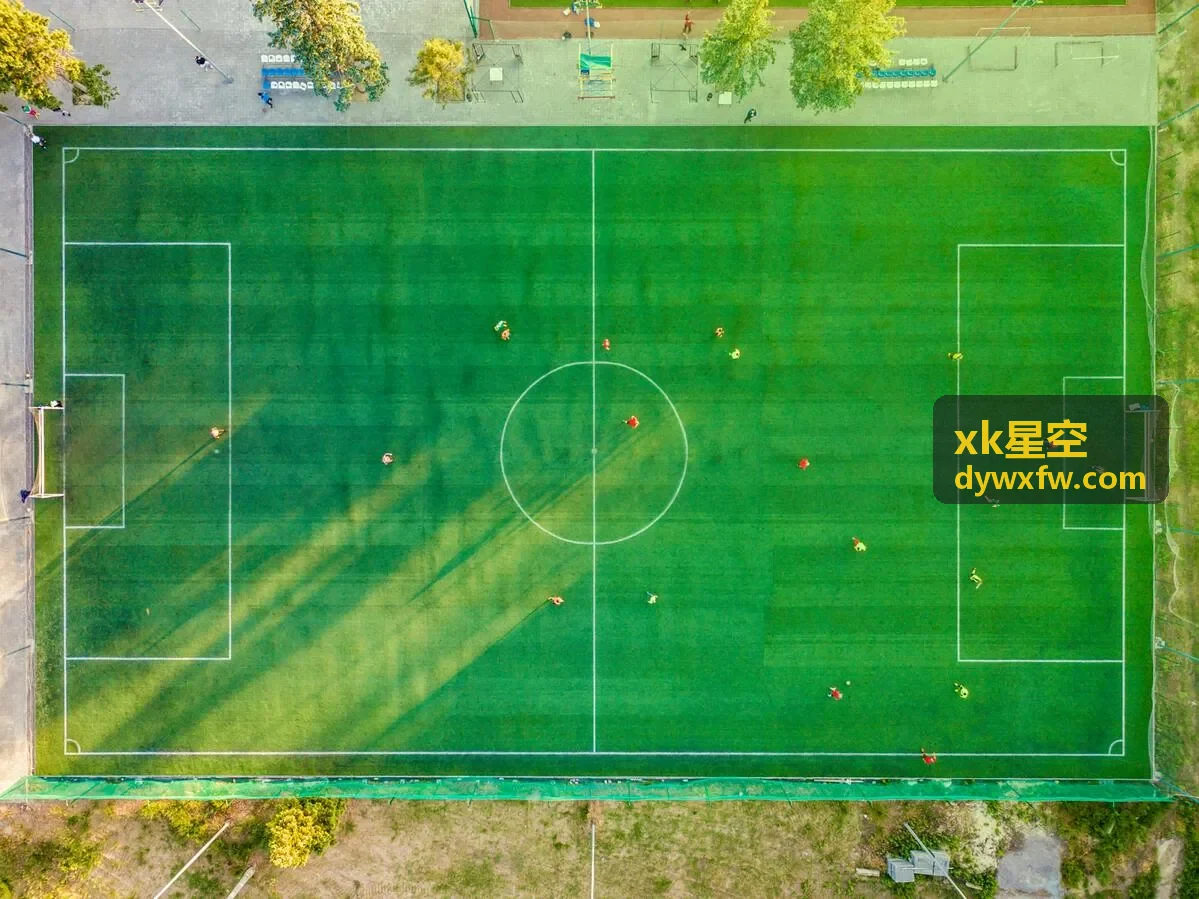 xk星空数据分析平台