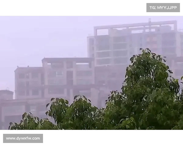 雷暴大风袭击湖北!大范围暴雨来袭,致灾风险需警惕(湖北多地遭特大暴雨) 雷暴大风袭击湖北!大范围暴雨来袭,致灾风险需警惕(湖北多地遭特大暴雨)