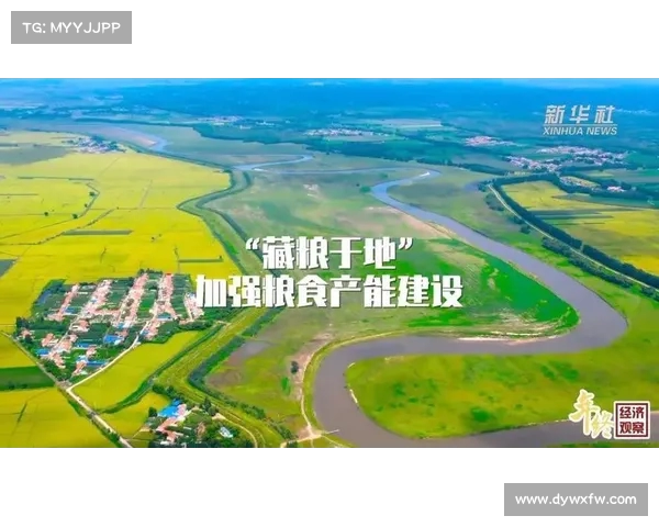 十亿吨粮食新发现:保障人生活的中国奇迹(1.4亿吨粮食) 十亿吨粮食新发现:保障人生活的中国奇迹(1.4亿吨粮食)